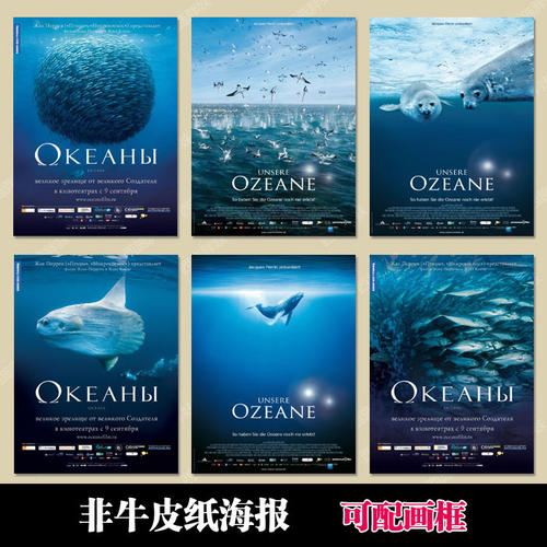 制作海地签证